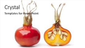  Presentation with white rose - Cool new presentation theme with half fresh red rose hip backdrop and a white colored foreground