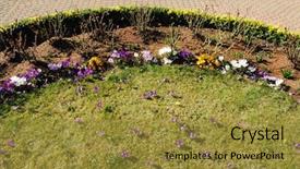 Presentation with pavement - Slides featuring half moon - beautiful spring garden with crocuses background and a  colored foreground