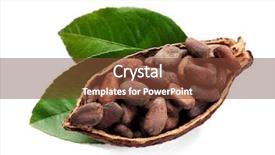  Presentation with cocoa pod - PPT theme with half of ripe cocoa pod background and a tawny brown colored foreground
