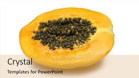  Presentation with paw - PPT theme having half paw paw on white with clipping path background and a yellow colored foreground