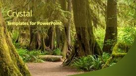  Presentation with rainforest - Slide set enhanced with hall of mosses in the hoh rainforest of olympic national park washington usa background and a tawny brown colored foreground