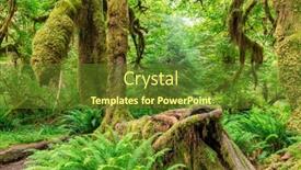  Presentation with olympic - PPT theme with hall-of-mosses background and a tawny brown colored foreground