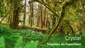  Presentation with olympic - Theme featuring hall-of-mosses background and a forest green colored foreground