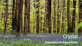  Presentation with brussels - Slides featuring hallerbos near brussels a forest full of bluebells background and a tawny brown colored foreground