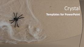  Presentation with horror - Cool new PPT layouts with halloween-decoration-and-horror-concept backdrop and a coral colored foreground