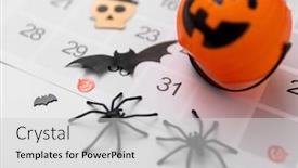  Presentation with halloween bat - Presentation design enhanced with halloween decorations and holidays concept - close up of jack o lantern spiders bat and day in calendar background and a light gray colored foreground