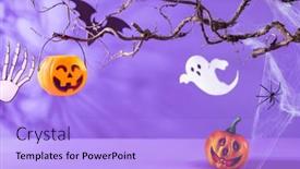  Presentation with halloween bat - Theme featuring halloween-decorations-with-pumpkins-spider background and a light blue colored foreground