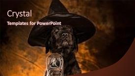  Presentation with wizard - Colorful PPT theme enhanced with halloween-dog-with-wizard-hat backdrop and a wine colored foreground