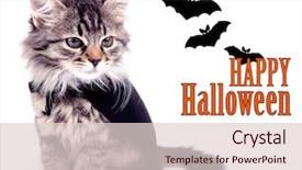  Presentation with black cat in front - PPT theme enhanced with halloween game - cat in black cloak isolated background and a lemonade colored foreground