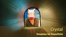  Presentation with scary halloween - Presentation design having halloween-pig-man-monster background and a tawny brown colored foreground