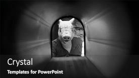  Presentation with black men - Cool new presentation theme with halloween-pig-man-monster backdrop and a dark gray colored foreground