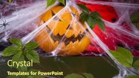  Presentation with spider web - 