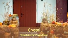  Presentation with halloween - Slide set consisting of halloween pumpkins on the street background and a red colored foreground