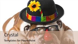  Presentation with magic wand dog - Colorful slide deck enhanced with hallowen - dog wearing clown glasses backdrop and a coral colored foreground