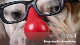  Presentation with super hero dog red - Presentation theme consisting of hallowen - funny dog - bulldog wearing background and a  colored foreground