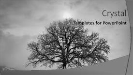  Presentation with effect - Presentation enhanced with halo-effect-around-the-sun background and a light gray colored foreground