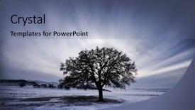  Presentation with effect - Audience pleasing PPT layouts consisting of halo effect around the sun backdrop and a ocean colored foreground