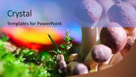  Presentation with mushrooms - Slide deck enhanced with halusination - group of mushrooms in moss background and a light blue colored foreground