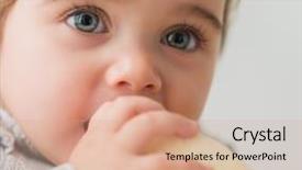  Presentation with baby chickens little cute chicks - Theme featuring halusination - portrait of cute baby playing background and a coral colored foreground