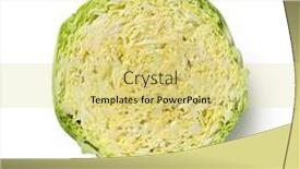  Presentation with cabbage - Presentation with halved-fresh-raw-whole-savoy background and a yellow colored foreground