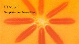  Presentation with fruit - Slide deck consisting of halved-ripe-sweet-kaki-fruit background and a gray colored foreground