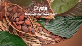  Presentation with cocoa pod - Audience pleasing PPT theme consisting of halves of cocoa pod backdrop and a tawny brown colored foreground