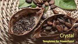  Presentation with cocoa pod - Slides with halves of cocoa pod background and a tawny brown colored foreground