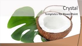 Presentation with green coconut - PPT theme with halves of coconut with leaf background and a white colored foreground