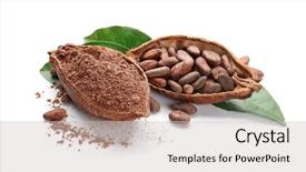  Presentation with cocoa - Colorful PPT theme enhanced with halves of ripe cocoa pod backdrop and a light gray colored foreground
