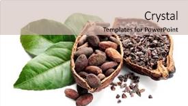  Presentation with cocoa pod - Presentation theme having halves of ripe cocoa pod background and a soft green colored foreground