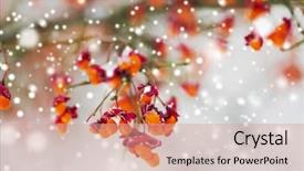  Presentation with water conservation protect nature concept - Cool new presentation design with hamilton - nature and environment concept backdrop and a  colored foreground