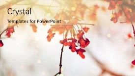  Presentation with environment - Beautiful theme featuring hamilton - nature and environment concept backdrop and a  colored foreground