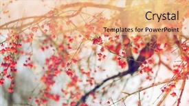  Presentation with water conservation protect nature concept - Theme enhanced with hamilton - nature and environment concept background and a  colored foreground