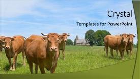  Presentation with nouvelle aquitaine - Cool new presentation theme with hamlet - limousin cows in landscape backdrop and a light blue colored foreground