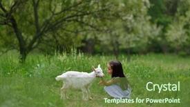  Presentation with animal nature - Amazing PPT theme having hamlet - little girl plays and huhs backdrop and a tawny brown colored foreground