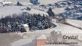  Presentation with vineyards - PPT theme consisting of hamlet - small rural house on snowy background and a light gray colored foreground