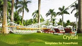  Presentation with tall - Cool new presentation theme with hammock hanging between tall palm backdrop and a tawny brown colored foreground