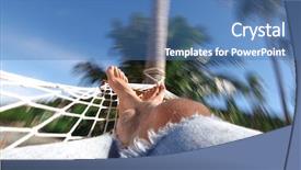  Presentation with pale male hawk - Cool new presentation design with hammock under the palm backdrop and a teal colored foreground