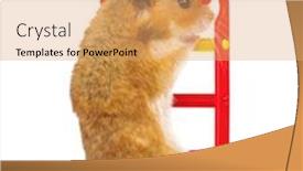  Presentation with stairs - PPT theme featuring hamster-on-the-toy-stairs background and a coral colored foreground