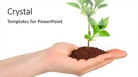  Presentation with hand holding plant - Slide deck consisting of hand and plant isolated background and a white colored foreground