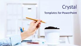  Presentation with money tree - Slide deck consisting of hand and pot with money background and a sky blue colored foreground