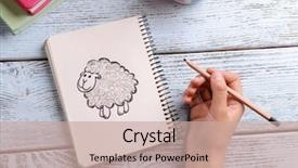  Presentation with sheep - Colorful slide set enhanced with hand drawing sheep in notebook backdrop and a coral colored foreground