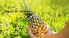  Presentation with hold hand - Presentation enhanced with hand-hold-a-growth background and a yellow colored foreground