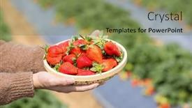  Presentation with hold hand - Slide deck with hand-hold-with-strawberry and a violet colored foreground