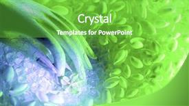  Presentation with hand print - Slide deck consisting of hand holding a flower background and a seafoam green colored foreground