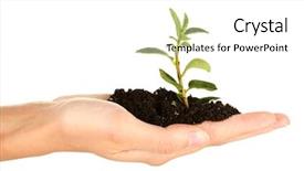  Presentation with hand holding plant - Amazing theme having hand holding a plant growing backdrop and a white colored foreground