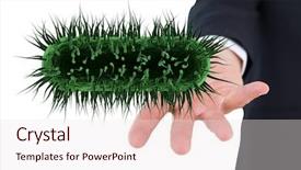  Presentation with virus - Amazing PPT layouts having hand holding a virus backdrop and a sky blue colored foreground