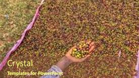  Presentation with coffee - PPT theme with hand-holding-and-showing-coffee background and a tawny brown colored foreground