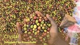  Presentation with ethiopia - Slide deck having hand-holding-and-showing-coffee background and a  colored foreground