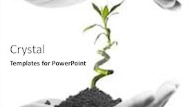  Presentation with bamboo - Slides with set of new winter tyres background and a gray colored foreground